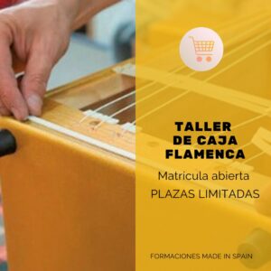 Taller de Caja Flamenca